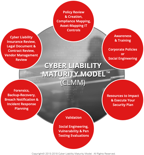 Cyber Liability Maturity Model